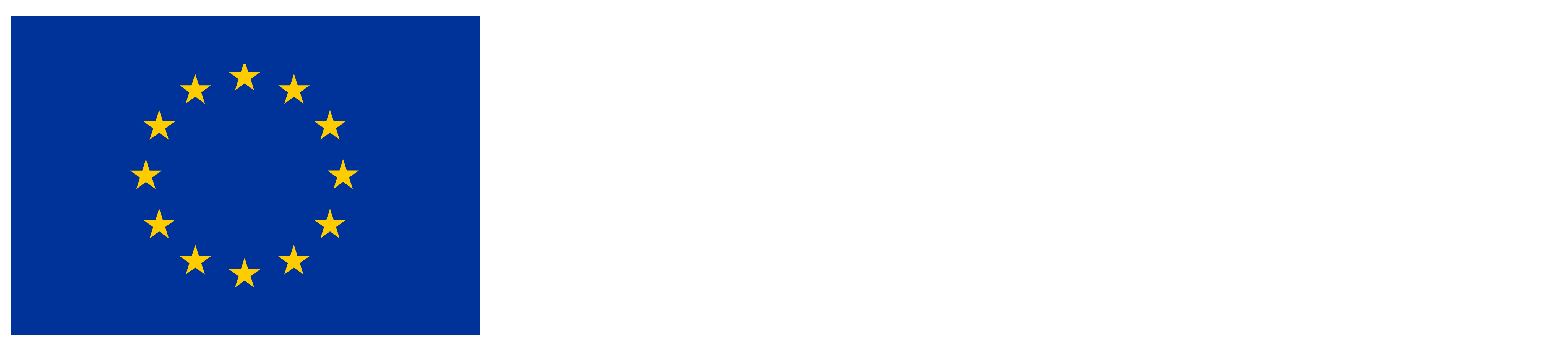 Co-funded by the European Union